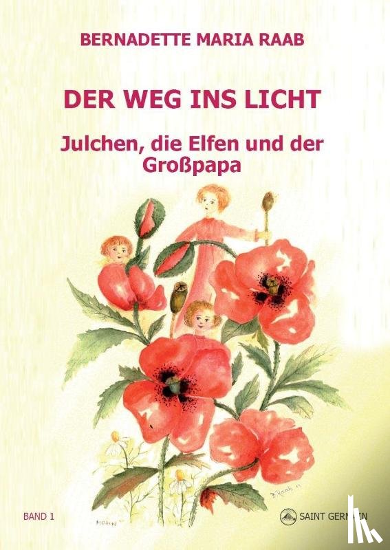 Raab, Bernadette Maria - Der Weg ins Licht