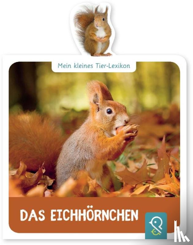 Kastenhuber, Hannah - Mein kleines Tier-Lexikon - Das Eichhörnchen