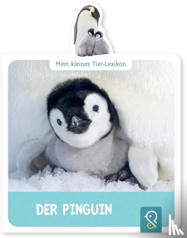 Kastenhuber, Hannah - Mein kleines Tier-Lexikon - Der Pinguin