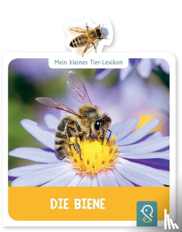 Kastenhuber, Hannah - Mein kleines Tier-Lexikon - Die Biene