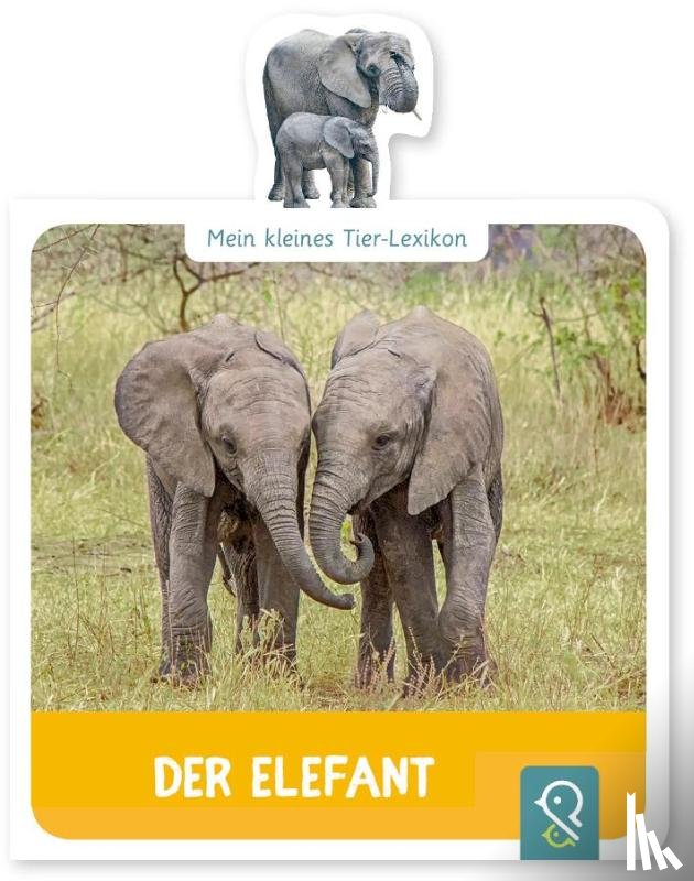 Kastenhuber, Hannah - Mein kleines Tier-Lexikon - Der Elefant
