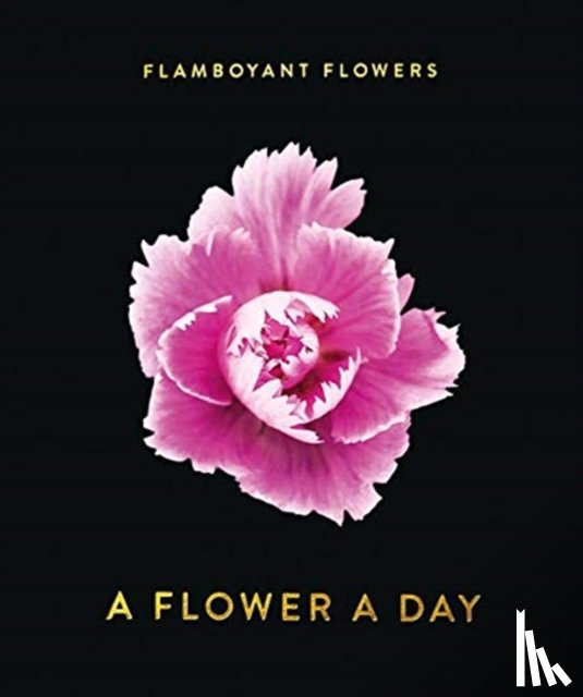 Jonkmanns, Bernd, Seltmann, Oliver - Flamboyant Flowers