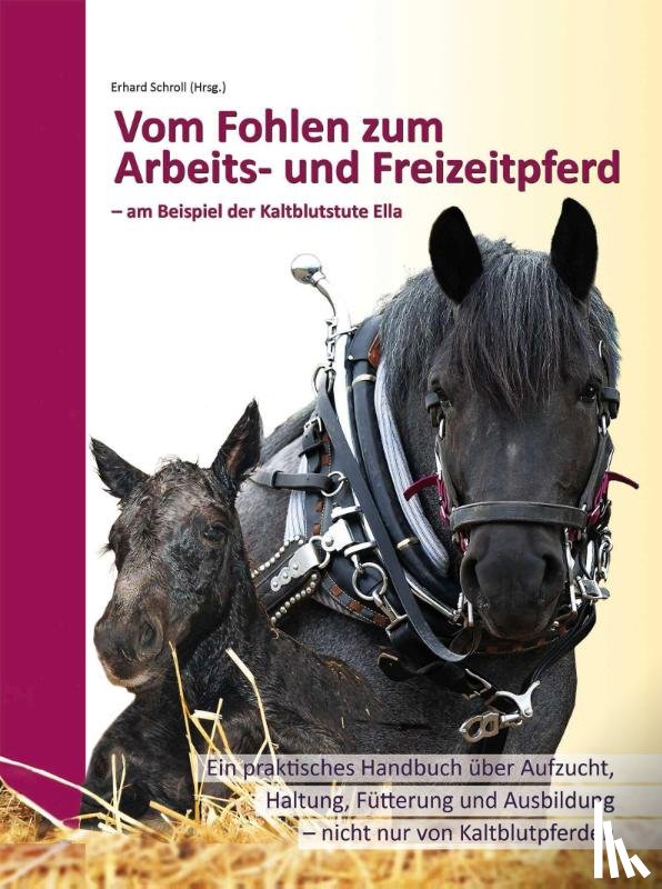 - Vom Fohlen zum Arbeits- und Freizeitpferd