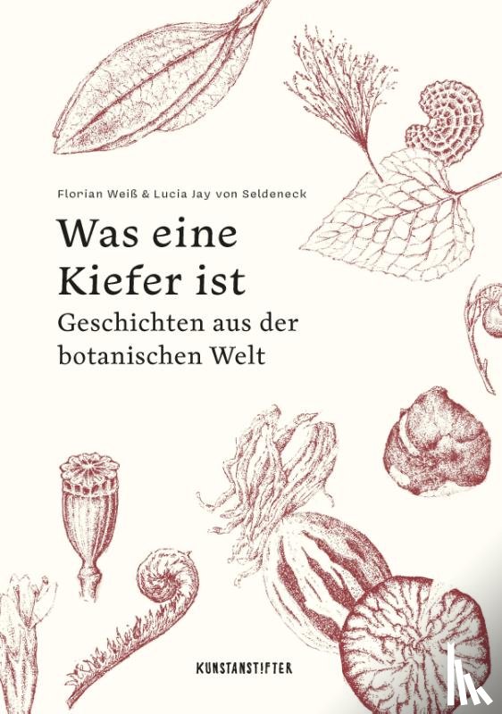 Seldeneck, Lucia Jay von - Was eine Kiefer ist
