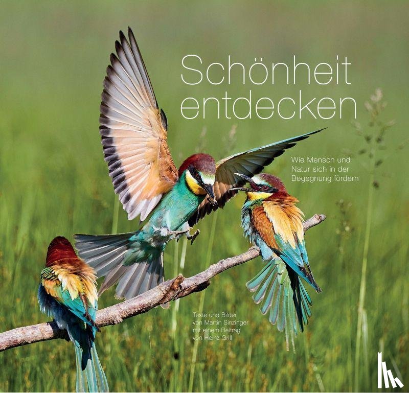 Sinzinger, Martin - Schönheit entdecken