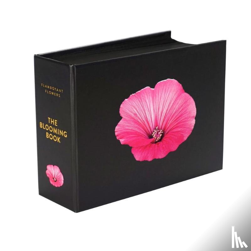 Meriel, Nicolas - The Blooming Book
