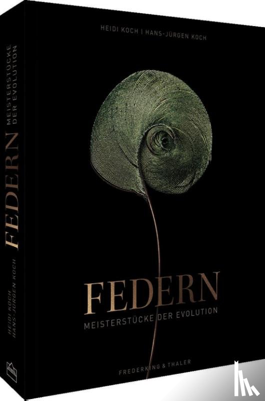  - Federn