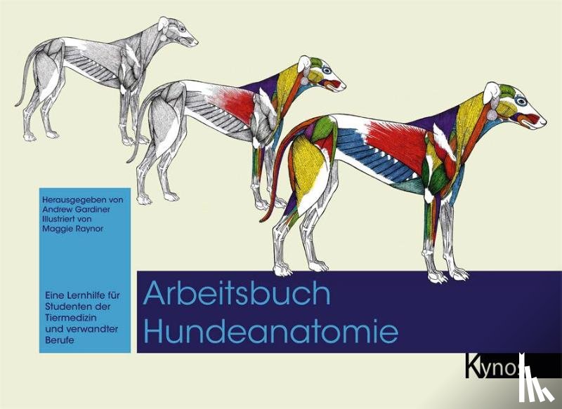  - Arbeitsbuch Hundeanatomie