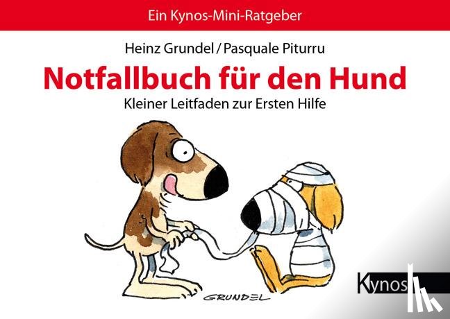 Grundel, Heinz, Piturru, Pasquale - Notfallbuch für den Hund