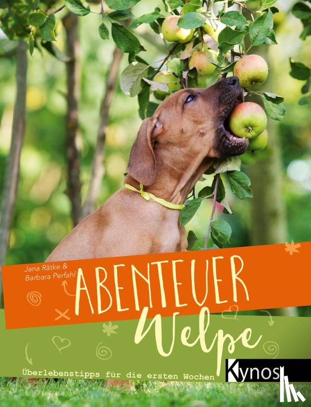 Rätke, Jana, Perfahl, Barbara - Abenteuer Welpe