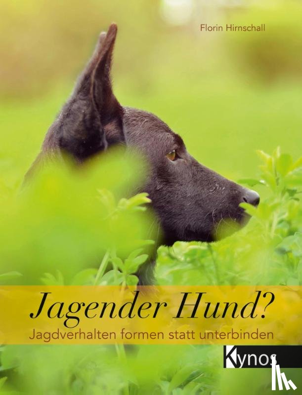Hirnschall, Florin - Jagender Hund?