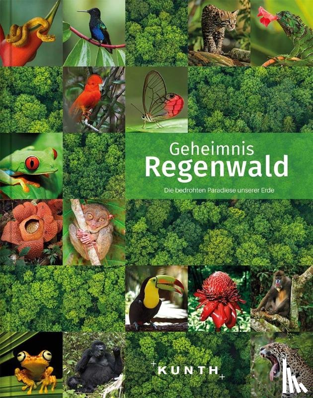  - KUNTH Bildband Geheimnis Regenwald