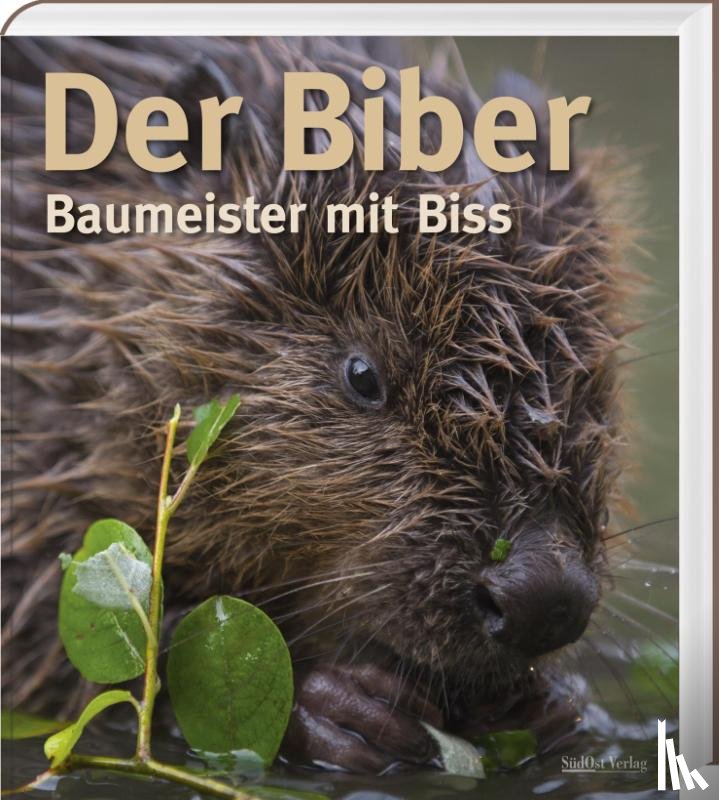 Zahner, Volker, Schmidbauer, Markus, Schwab, Gerhard, Angst, Christof - Der Biber