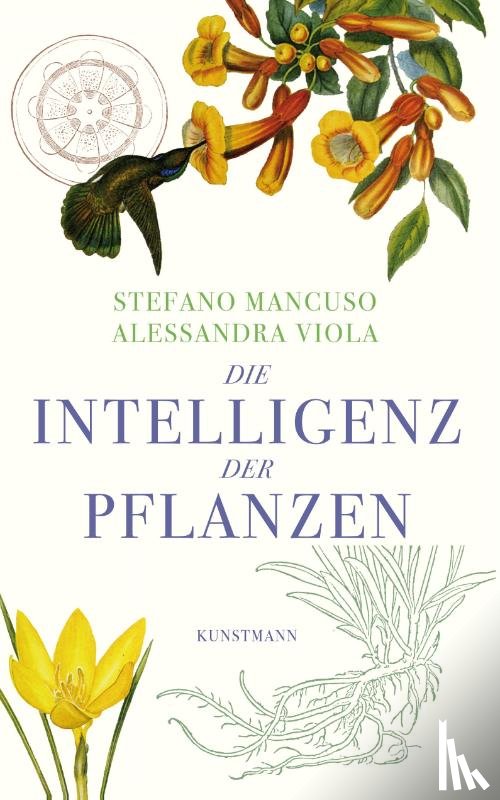 Mancuso, Stefano, Viola, Alessandra - Die Intelligenz der Pflanzen