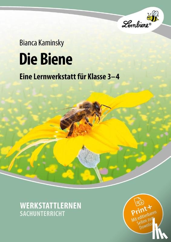 Kaminsky, Bianca - Die Biene. Grundschule, Sachunterricht, Klasse 3-4