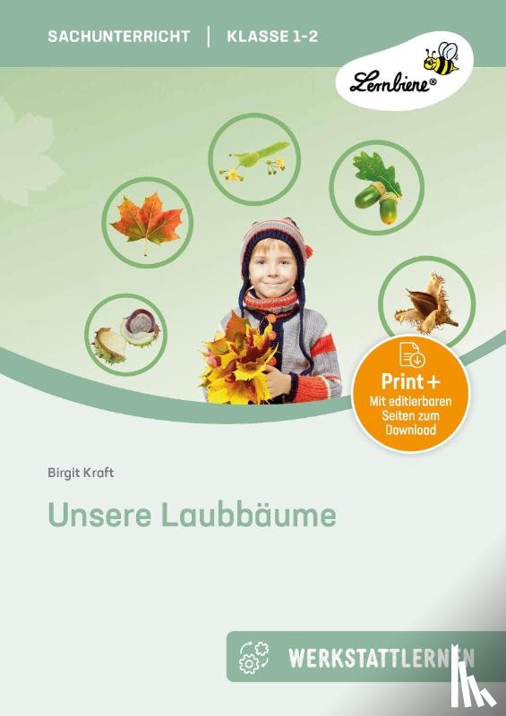 Kraft, Birgit - Unsere Laubbäume. Grundschule, Sachunterricht, Klasse 1-2
