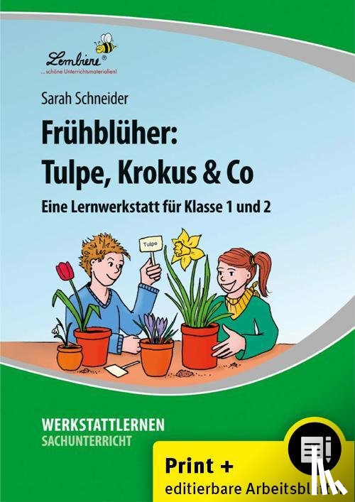 Schneider, Sarah - Frühblüher: Tulpe, Krokus & Co