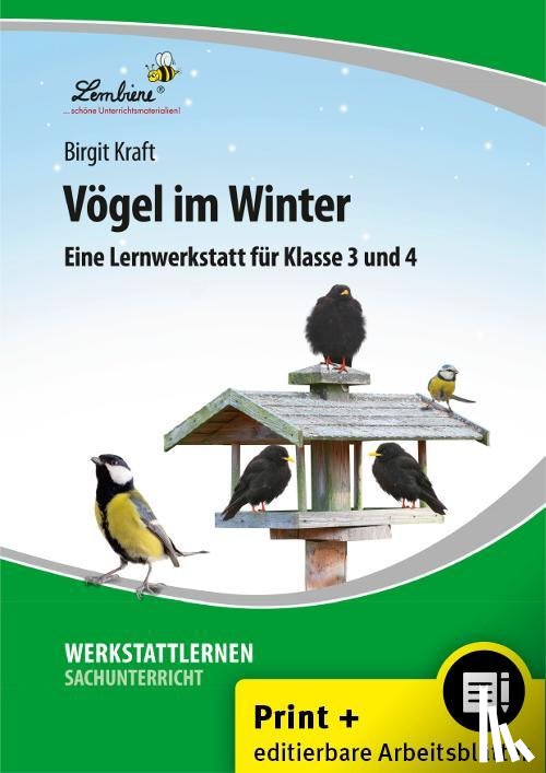 Kraft, Birgit - Vögel im Winter