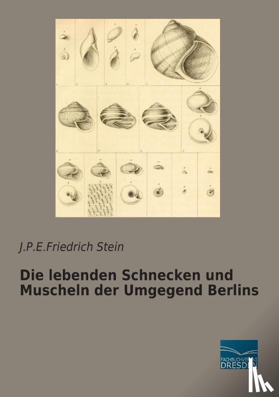 Stein, J. P. E. Friedrich - Die lebenden Schnecken und Muscheln der Umgegend Berlins