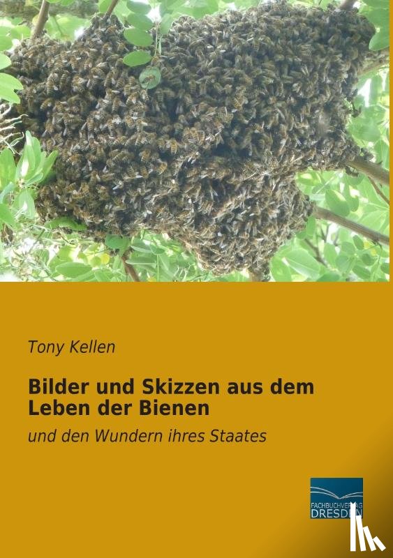 Kellen, Tony - Bilder und Skizzen aus dem Leben der Bienen