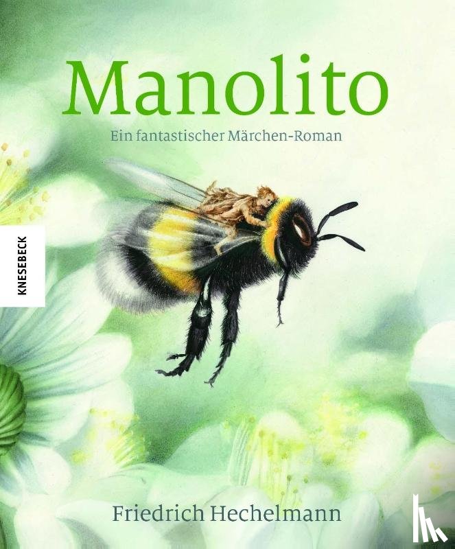 Hechelmann, Friedrich - Manolito