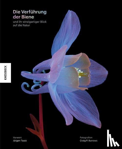 Burrows, Craig P. - Die Verführung der Biene