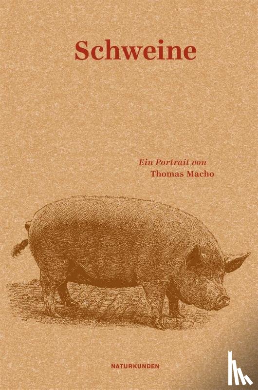 Macho, Thomas - Schweine