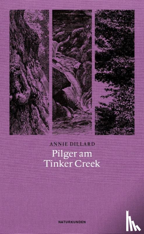 Dillard, Annie - Pilger am Tinker Creek