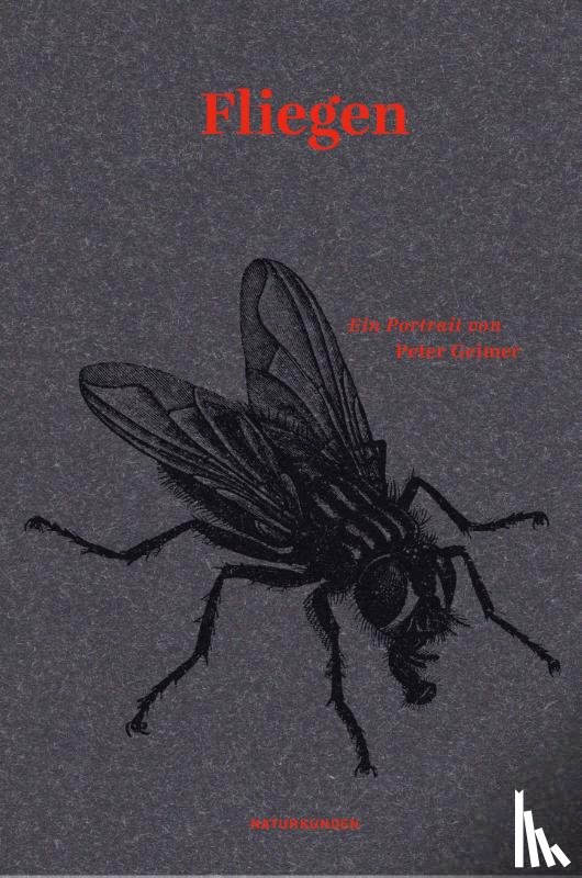 Geimer, Peter - Fliegen