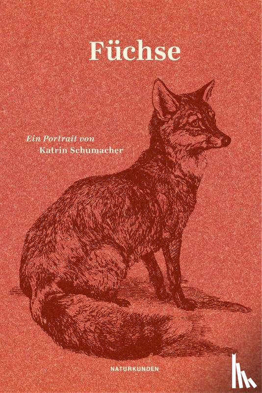 Schumacher, Katrin - Füchse