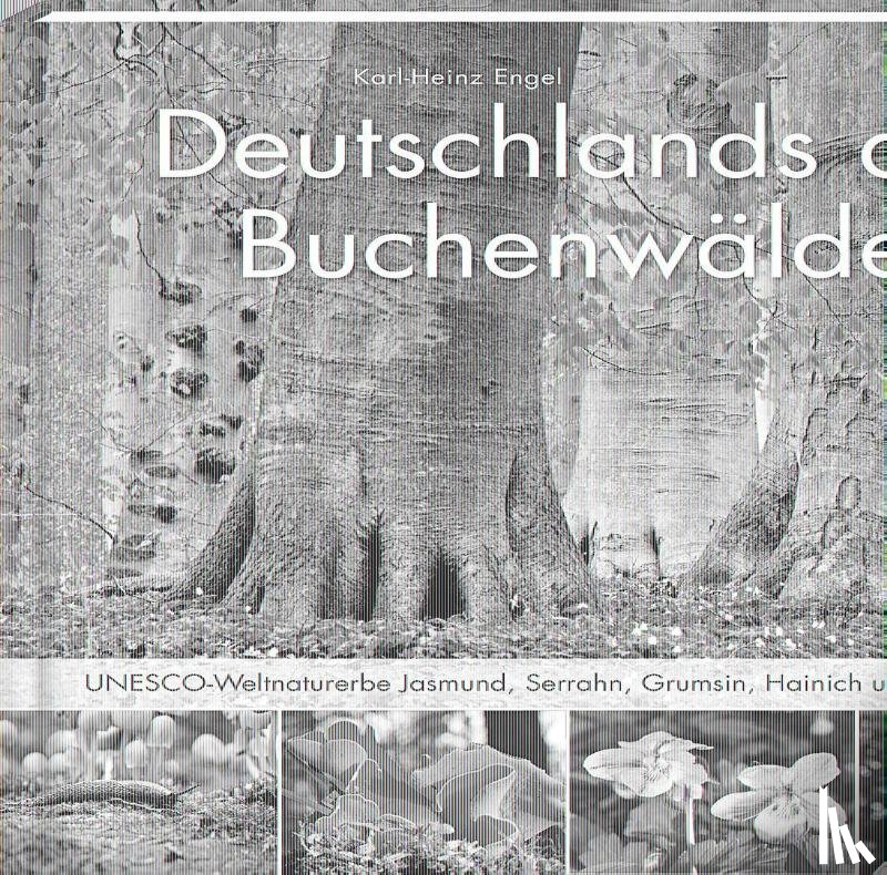 Engel, Karl Heinz - Deutschlands alte Buchenwälder