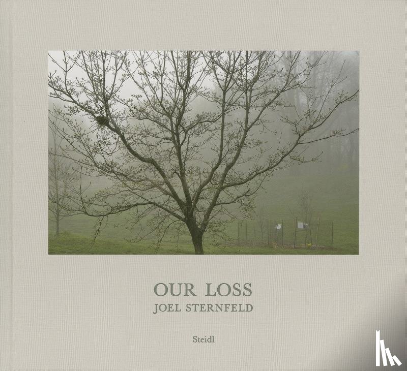 Sternfeld, Joel, Feroudj, Holger, Design, Steidl - Joel Sternfeld: Our Loss