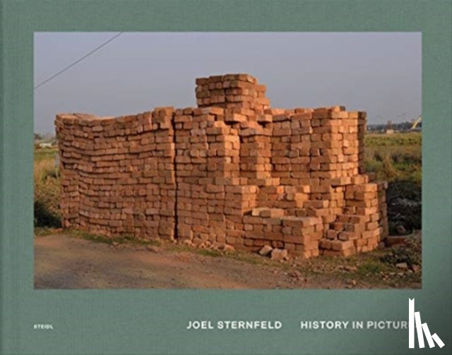 Sternfeld, Joel - Joel Sternfeld: History in Pictures