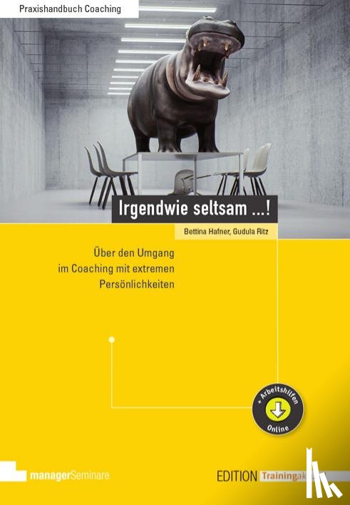 Hafner, Bettina, Ritz, Gudula - Irgendwie seltsam ...!