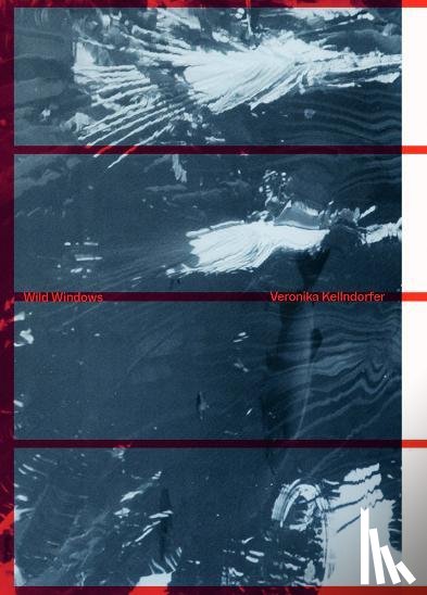  - Veronika Kellndorfer: Wild Windows