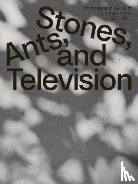 Rytka, Zygmunt, Le¿niewska, Anna Maria, Crowley, David - Zygmunt Rytka: Stones, Ants, and Television