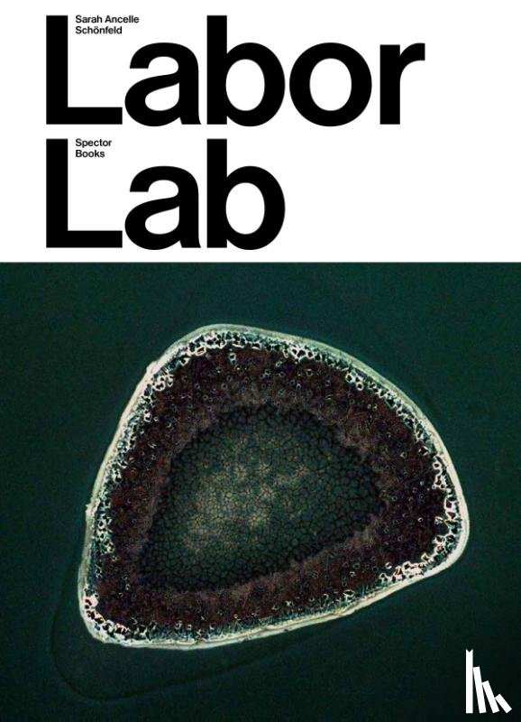 Leslie, Esther, Mendes, Margarida, Moser, Jeannie, Stoff, Heiko - Sarah Ancelle Schönfeld: Labor Lab