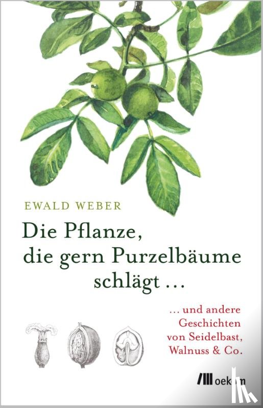 Weber, Ewald - Die Pflanze, die gern Purzelbäume schlägt ...