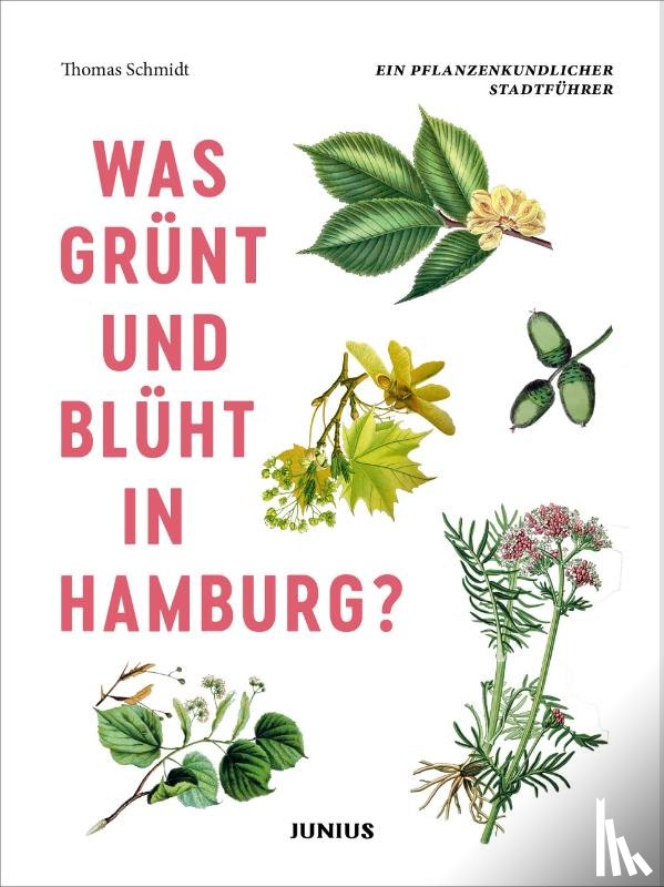 Schmidt, Thomas - Was grünt und blüht in Hamburg?
