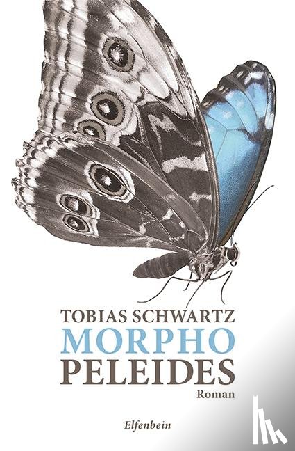 Schwartz, Tobias - Morpho peleides