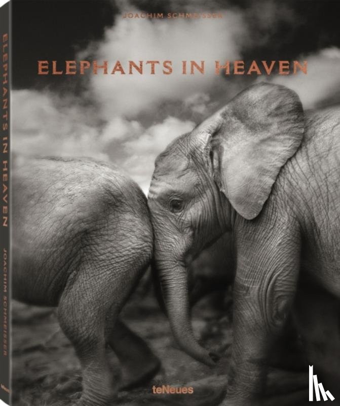 Schmeisser, Joachim - Elephants in Heaven