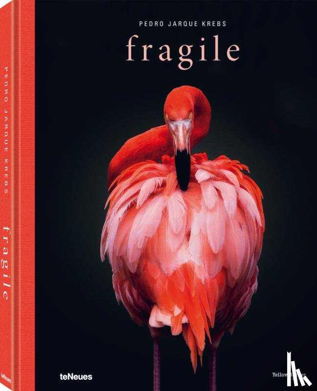 Krebs, Pedro Jarque - Fragile