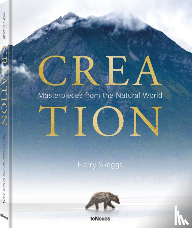 Skeggs, Harry - Creation