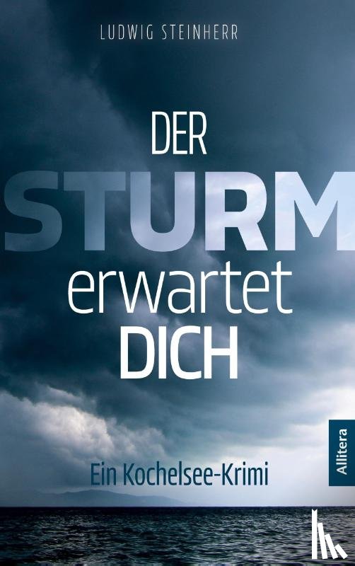 Steinherr, Ludwig - Der Sturm erwartet dich