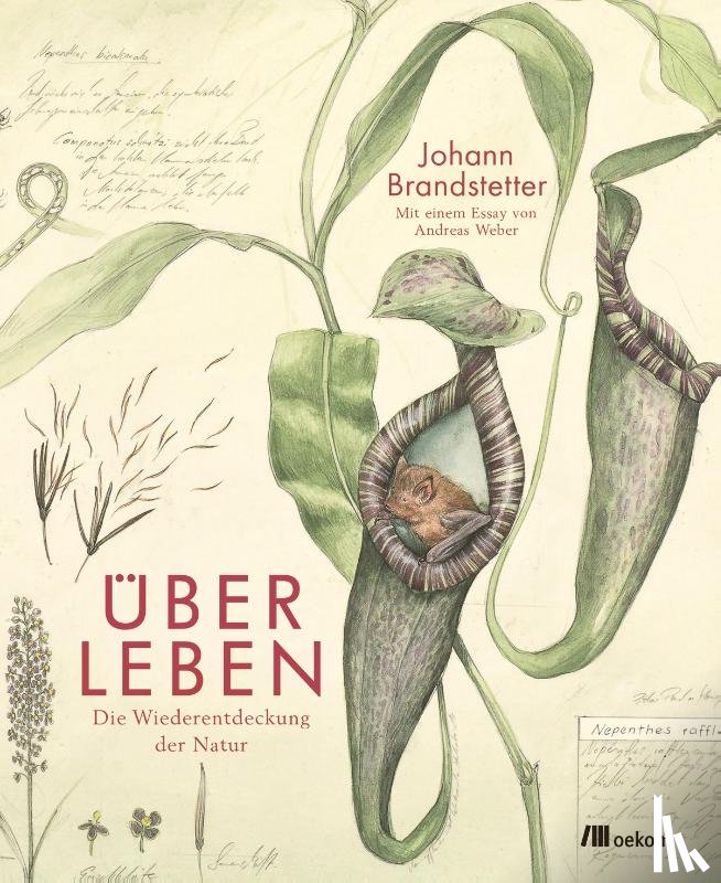 Brandstetter, Johann, Weber, Andreas - Über Leben