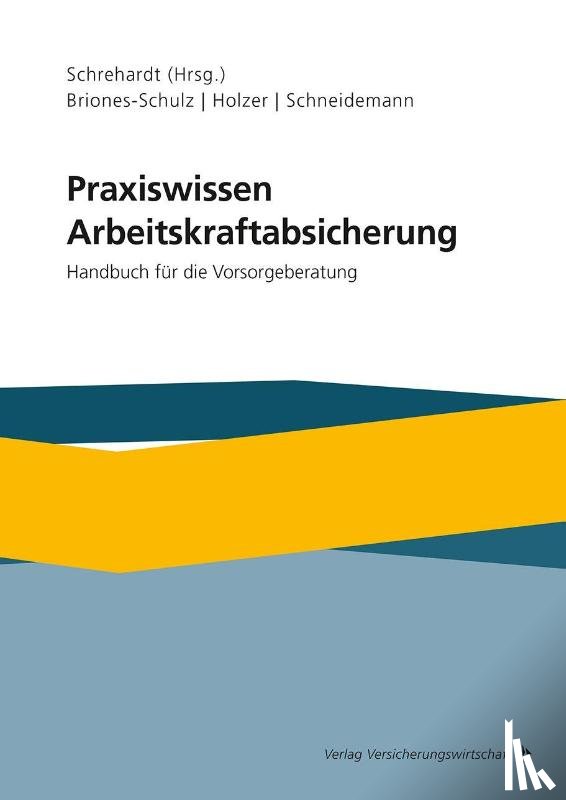Briones-Schulz, Katja, Holzer, Stefan, Schneidemann, Herbert - Praxiswissen Arbeitskraftabsicherung