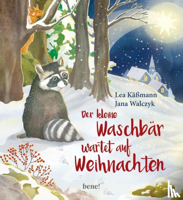 Käßmann, Lea - Der kleine Waschbär wartet auf Weihnachten - ein Bilderbuch für Kinder ab 2 Jahren