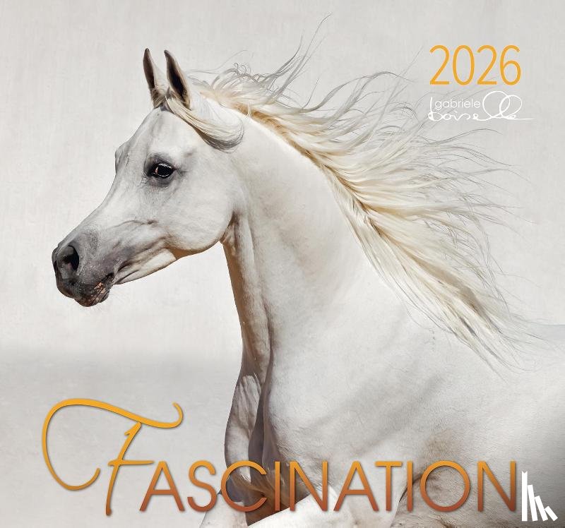  - Fascination 2026