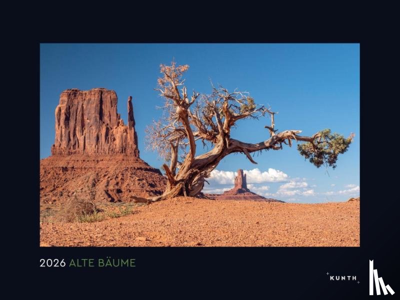  - Alte Bäume, Sinnbilder des Lebens - KUNTH Wandkalender 2026