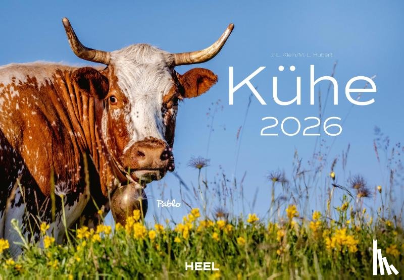 Klein, J. -L., Hubert, M. -L. - Kühe Kalender 2026 Wandkalender
